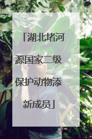 湖北堵河源国家二级保护动物添新成员