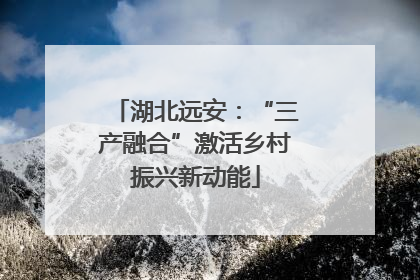 湖北远安：“三产融合”激活乡村振兴新动能