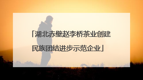 湖北赤壁赵李桥茶业创建民族团结进步示范企业