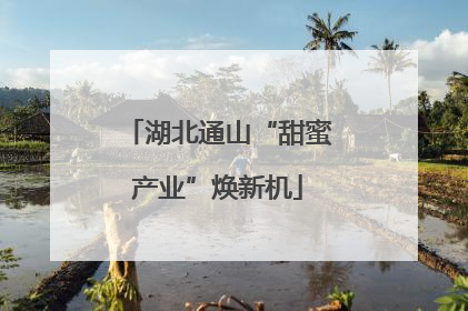 湖北通山“甜蜜产业”焕新机