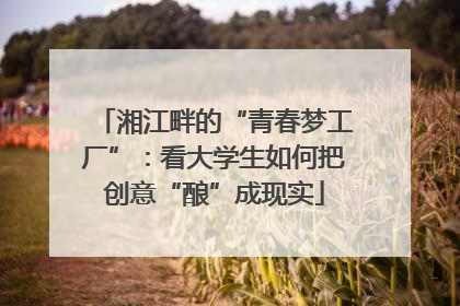 湘江畔的“青春梦工厂”：看大学生如何把创意“酿”成现实