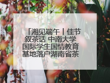 湘见端午丨佳节叙茶话 中南大学国际学生国情教育基地落户湖南省茶叶博物馆
