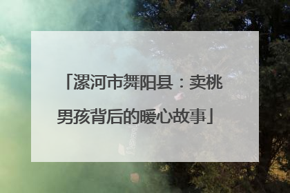 漯河市舞阳县：卖桃男孩背后的暖心故事