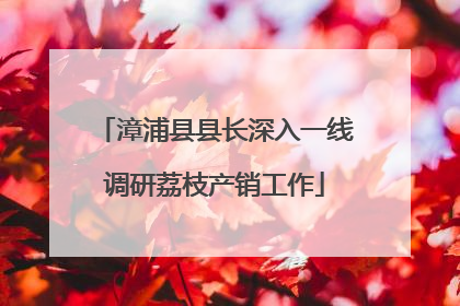 漳浦县县长深入一线调研荔枝产销工作