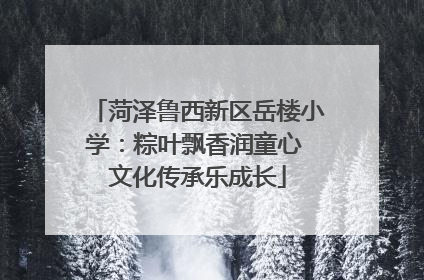 菏泽鲁西新区岳楼小学：粽叶飘香润童心 文化传承乐成长