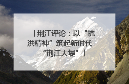 荆江评论：以“抗洪精神”筑起新时代“荆江大堤”