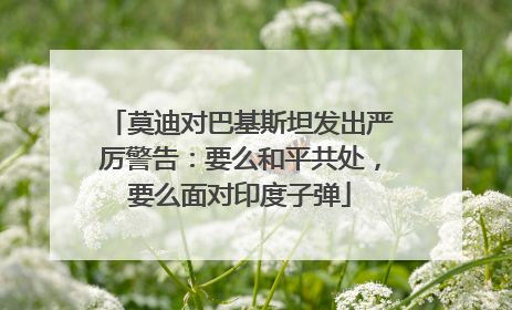 莫迪对巴基斯坦发出严厉警告：要么和平共处，要么面对印度子弹