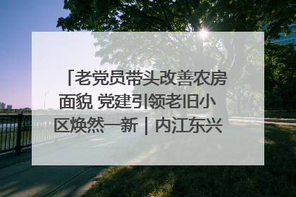 老党员带头改善农房面貌 党建引领老旧小区焕然一新｜内江东兴“红”在哪？④
