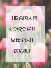 联合国人居大会续会召开 聚焦全球住房危机