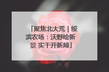 聚焦北大荒｜绥滨农场：沃野绘新景 实干开新局