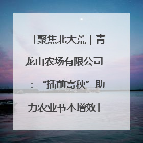 聚焦北大荒｜青龙山农场有限公司：“插前寄秧”助力农业节本增效