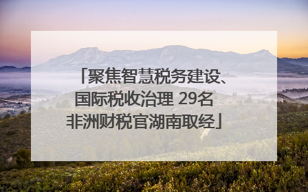 聚焦智慧税务建设、国际税收治理 29名非洲财税官湖南取经