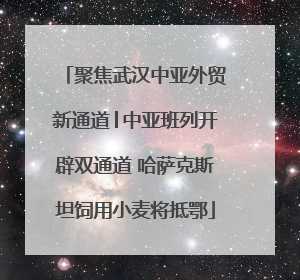 聚焦武汉中亚外贸新通道│中亚班列开辟双通道 哈萨克斯坦饲用小麦将抵鄂