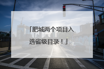 肥城两个项目入选省级目录！