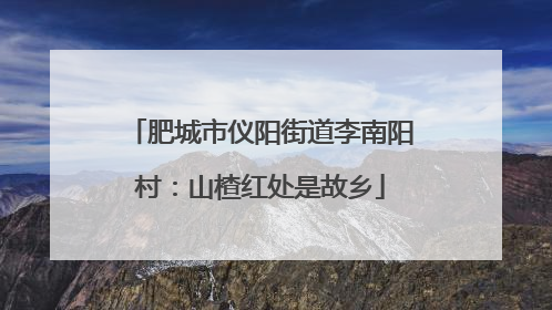 肥城市仪阳街道李南阳村：山楂红处是故乡