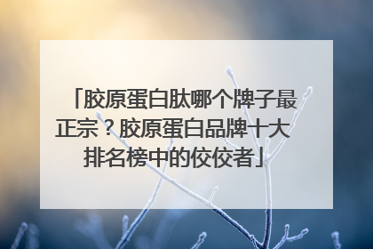 胶原蛋白肽哪个牌子最正宗？胶原蛋白品牌十大排名榜中的佼佼者