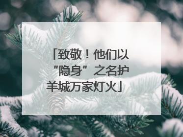 致敬！他们以“隐身”之名护羊城万家灯火