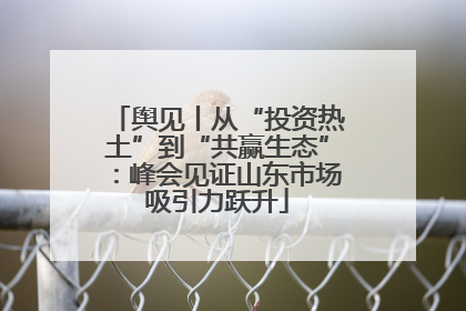舆见丨从“投资热土”到“共赢生态”：峰会见证山东市场吸引力跃升
