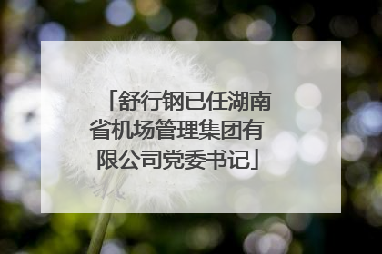 舒行钢已任湖南省机场管理集团有限公司党委书记