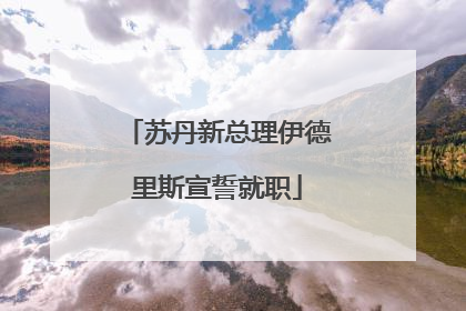 苏丹新总理伊德里斯宣誓就职