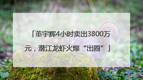 董宇辉4小时卖出3800万元，潜江龙虾火爆“出圈”