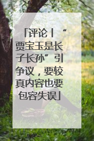 评论丨“贾宝玉是长子长孙”引争议，要较真内容也要包容失误