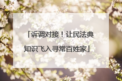 诉调对接！让民法典知识飞入寻常百姓家