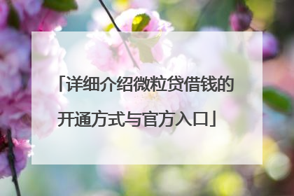 详细介绍微粒贷借钱的开通方式与官方入口