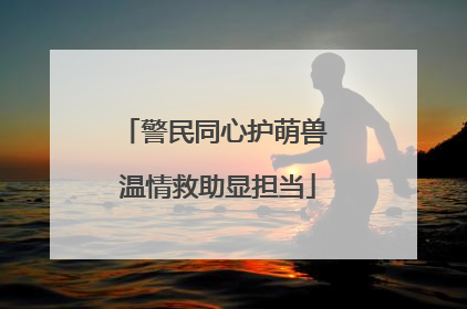 警民同心护萌兽 温情救助显担当