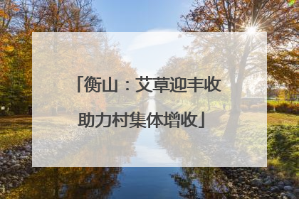 衡山：艾草迎丰收 助力村集体增收