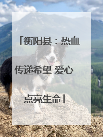 衡阳县：热血传递希望 爱心点亮生命