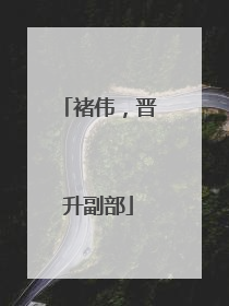 褚伟，晋升副部