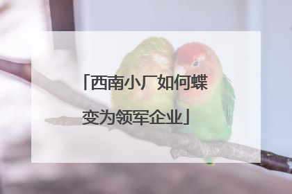 西南小厂如何蝶变为领军企业