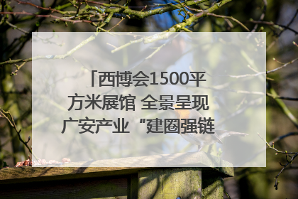 西博会1500平方米展馆 全景呈现广安产业“建圈强链”｜西博视界