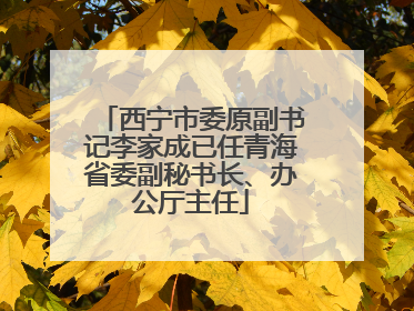 西宁市委原副书记李家成已任青海省委副秘书长、办公厅主任
