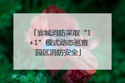 襄城消防采取“1+1”模式动态巡查园区消防安全