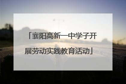 襄阳高新一中学子开展劳动实践教育活动