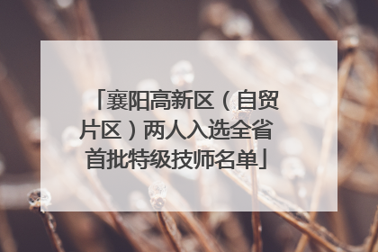 襄阳高新区（自贸片区）两人入选全省首批特级技师名单