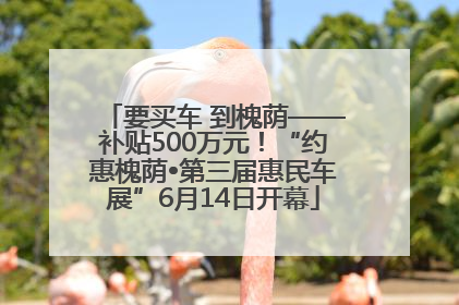 要买车 到槐荫——补贴500万元！“约惠槐荫•第三届惠民车展”6月14日开幕