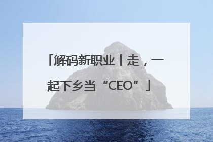 解码新职业丨走，一起下乡当“CEO”