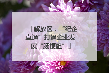解放区：“纪企直通”打通企业发展“肠梗阻”
