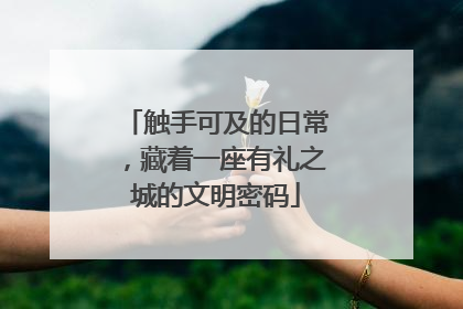 触手可及的日常，藏着一座有礼之城的文明密码