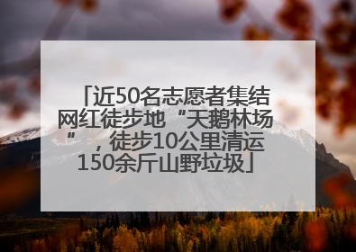近50名志愿者集结网红徒步地“天鹅林场”，徒步10公里清运150余斤山野垃圾