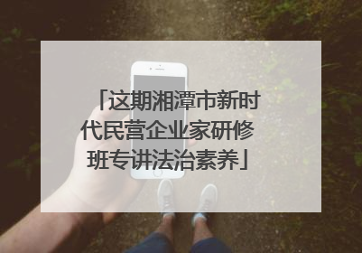 这期湘潭市新时代民营企业家研修班专讲法治素养