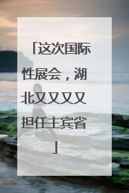 这次国际性展会，湖北又又又又担任主宾省