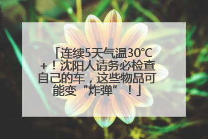 连续5天气温30℃+！沈阳人请务必检查自己的车，这些物品可能变“炸弹”！