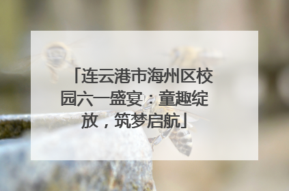 连云港市海州区校园六一盛宴：童趣绽放，筑梦启航