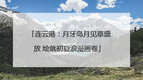 连云港：月牙岛月见草盛放 绘就初夏浪漫画卷