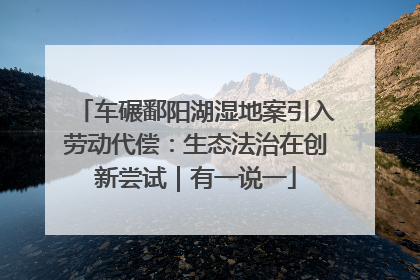 车碾鄱阳湖湿地案引入劳动代偿：生态法治在创新尝试｜有一说一