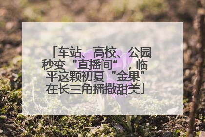 车站、高校、公园秒变“直播间”，临平这颗初夏“金果”在长三角播撒甜美
